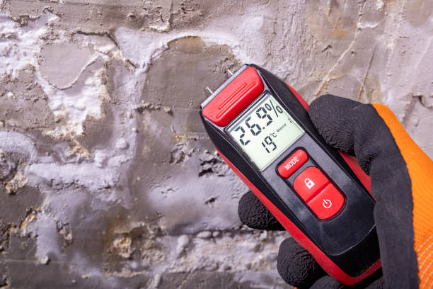 Best Residential Mold Removal  in Fruitville, FL